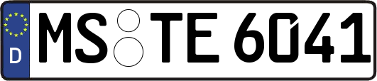 MS-TE6041