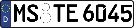MS-TE6045