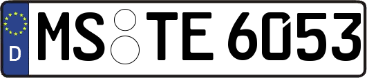 MS-TE6053