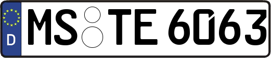 MS-TE6063