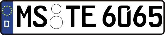 MS-TE6065