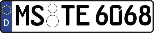 MS-TE6068