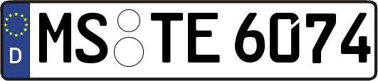MS-TE6074