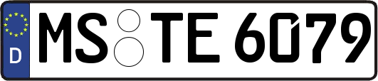MS-TE6079