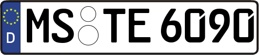 MS-TE6090