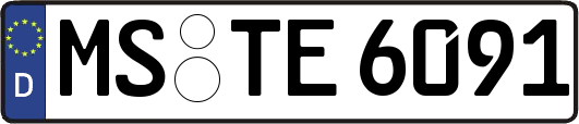 MS-TE6091