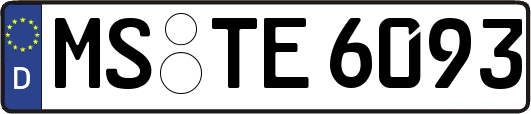 MS-TE6093