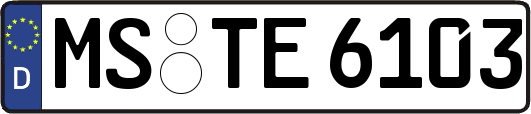 MS-TE6103