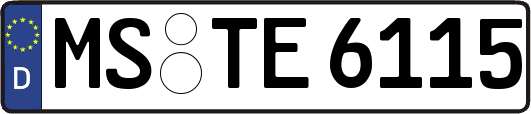 MS-TE6115