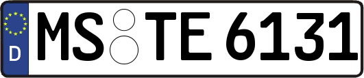 MS-TE6131