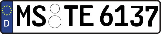 MS-TE6137