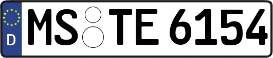 MS-TE6154
