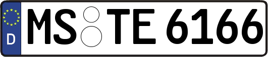 MS-TE6166