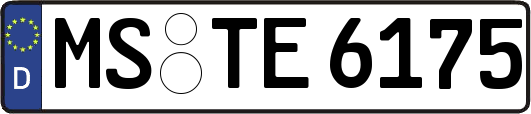 MS-TE6175