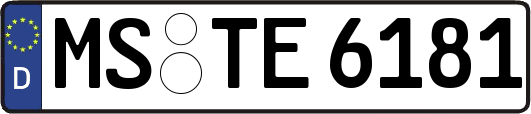 MS-TE6181