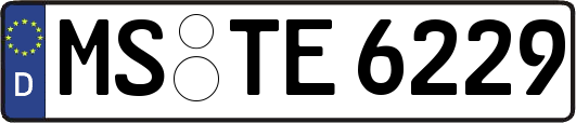 MS-TE6229