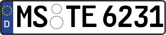 MS-TE6231