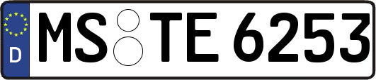 MS-TE6253