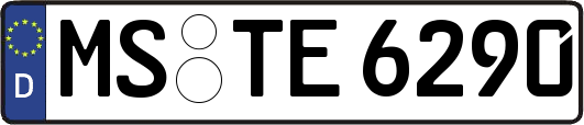 MS-TE6290