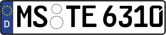 MS-TE6310
