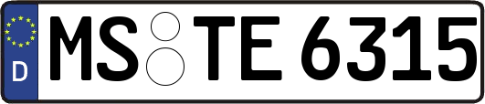 MS-TE6315