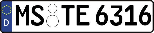 MS-TE6316