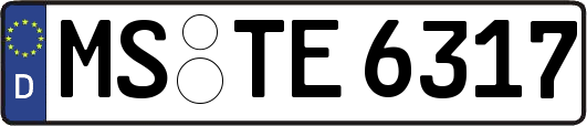 MS-TE6317