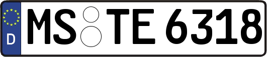 MS-TE6318