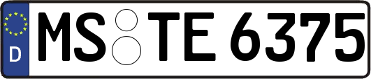 MS-TE6375