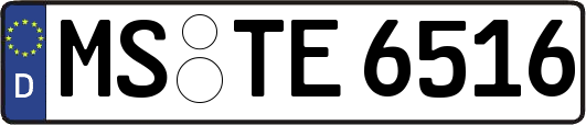 MS-TE6516