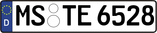 MS-TE6528