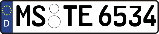 MS-TE6534