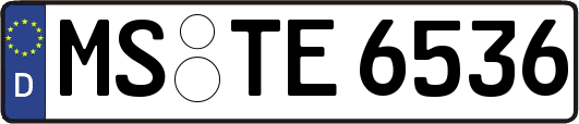 MS-TE6536