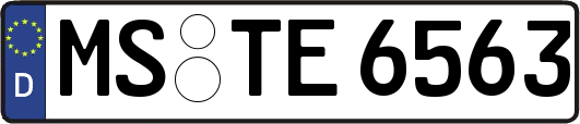 MS-TE6563