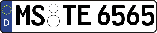 MS-TE6565