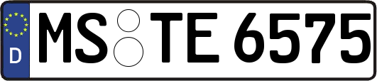 MS-TE6575
