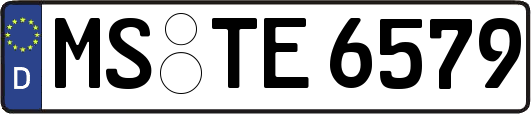 MS-TE6579