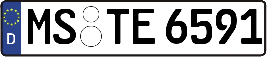MS-TE6591