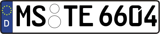 MS-TE6604
