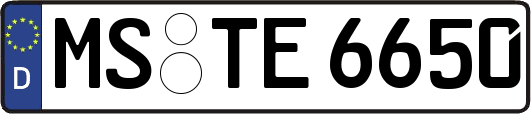 MS-TE6650