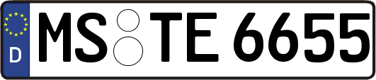 MS-TE6655