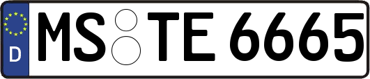 MS-TE6665