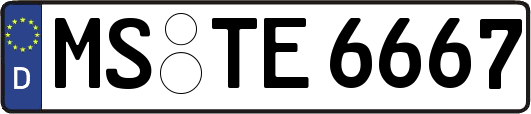 MS-TE6667