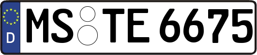 MS-TE6675