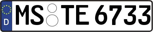 MS-TE6733