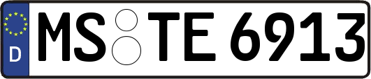 MS-TE6913