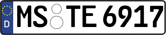 MS-TE6917