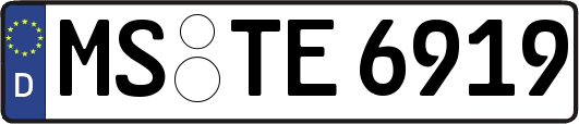 MS-TE6919