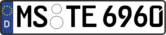 MS-TE6960