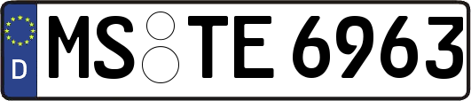 MS-TE6963